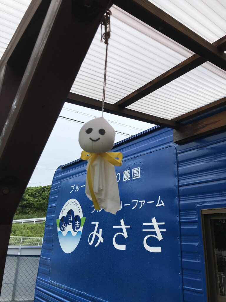雨のブルーベリー狩り