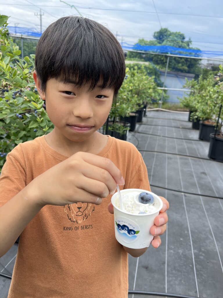 ジェラートにトッピングしたブルーベリー