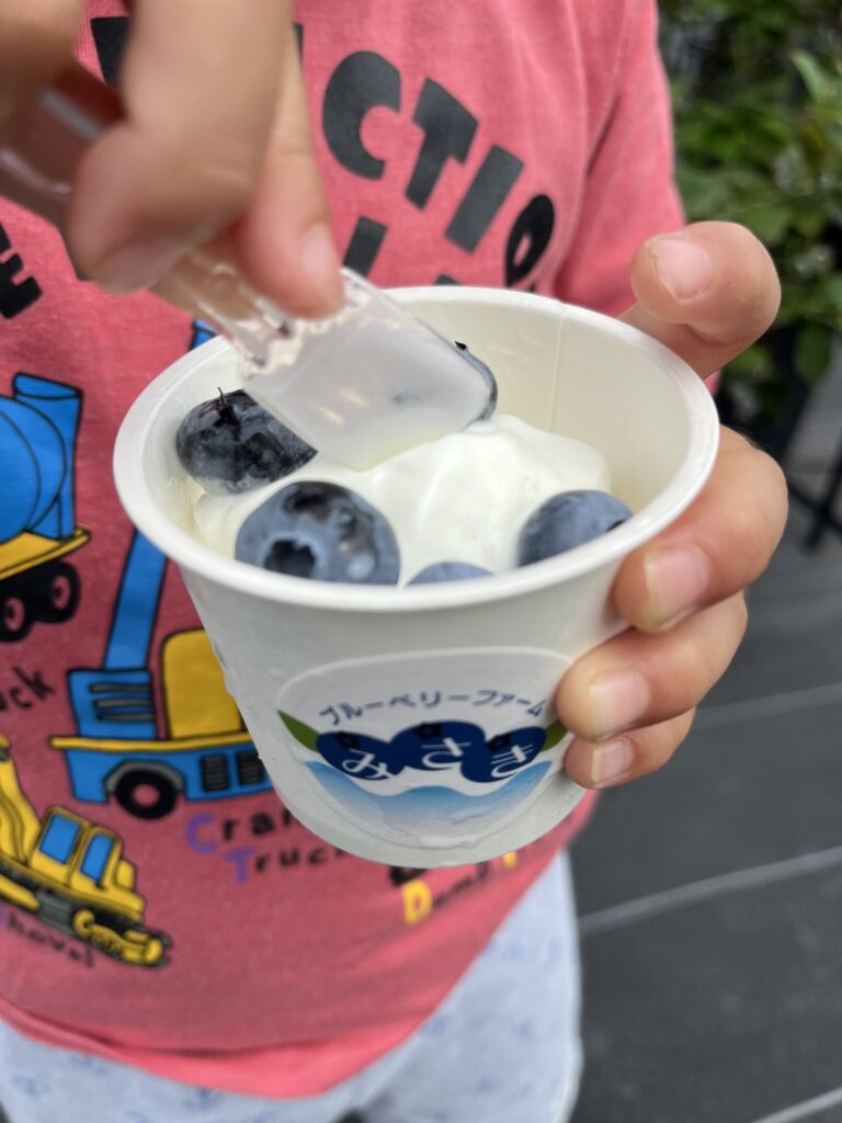 ジェラートと一緒にブルーベリー