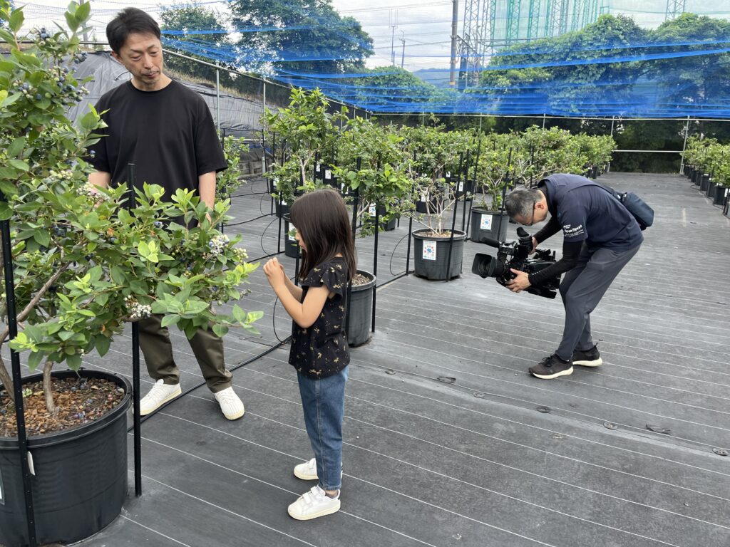 親子でブルーベリー狩りのテレビ撮影