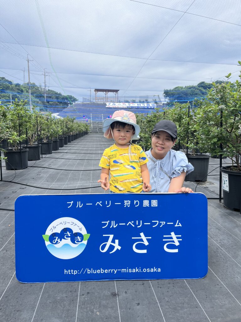 泉州のブルーベリー農園でブルーベリー狩り