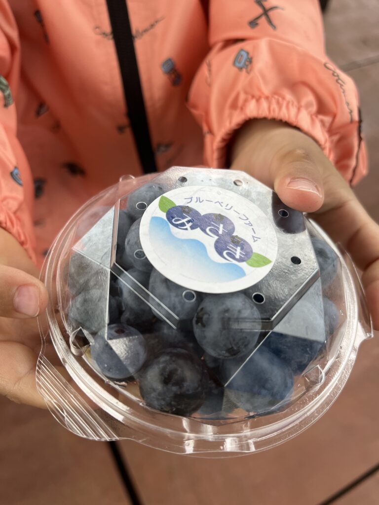 大阪のブルーベリーファームみさきのお持ち帰りパック