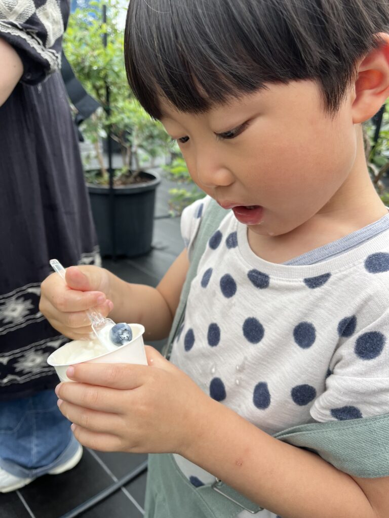 ブルーベリー狩りでミルクジェラート