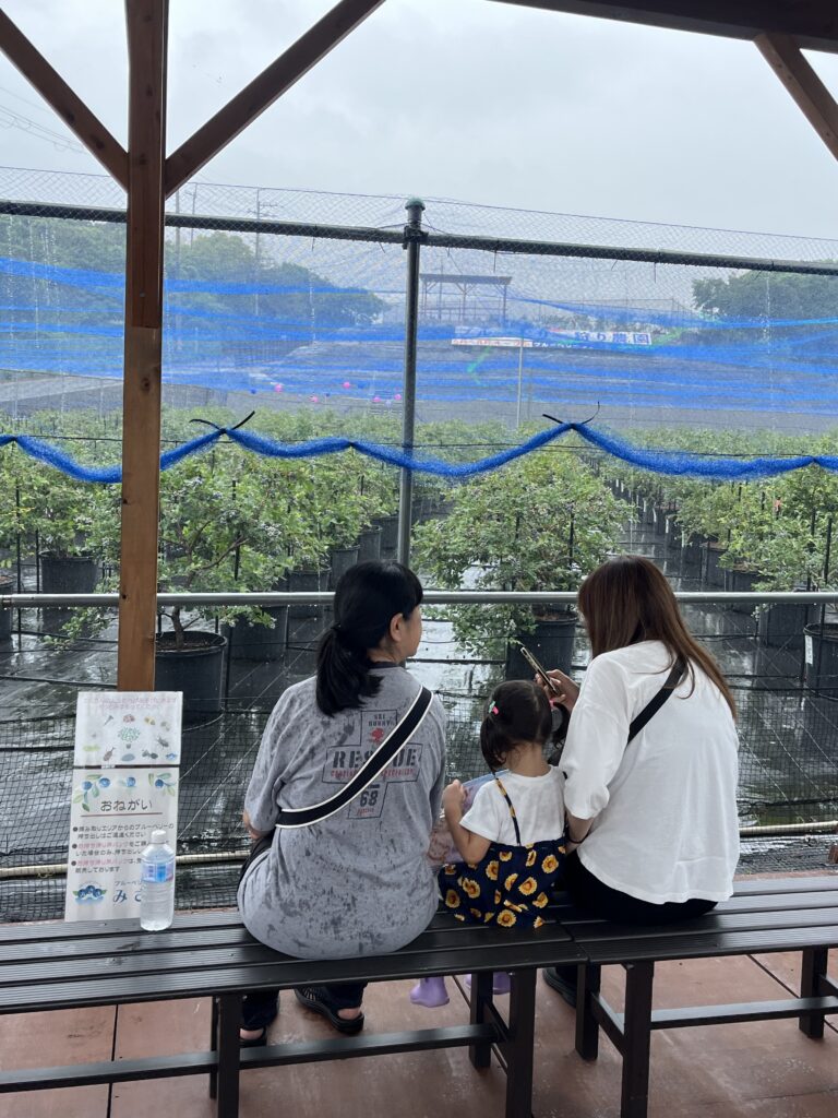 ブルーベリーファームみさきのレストスペースで雨宿り