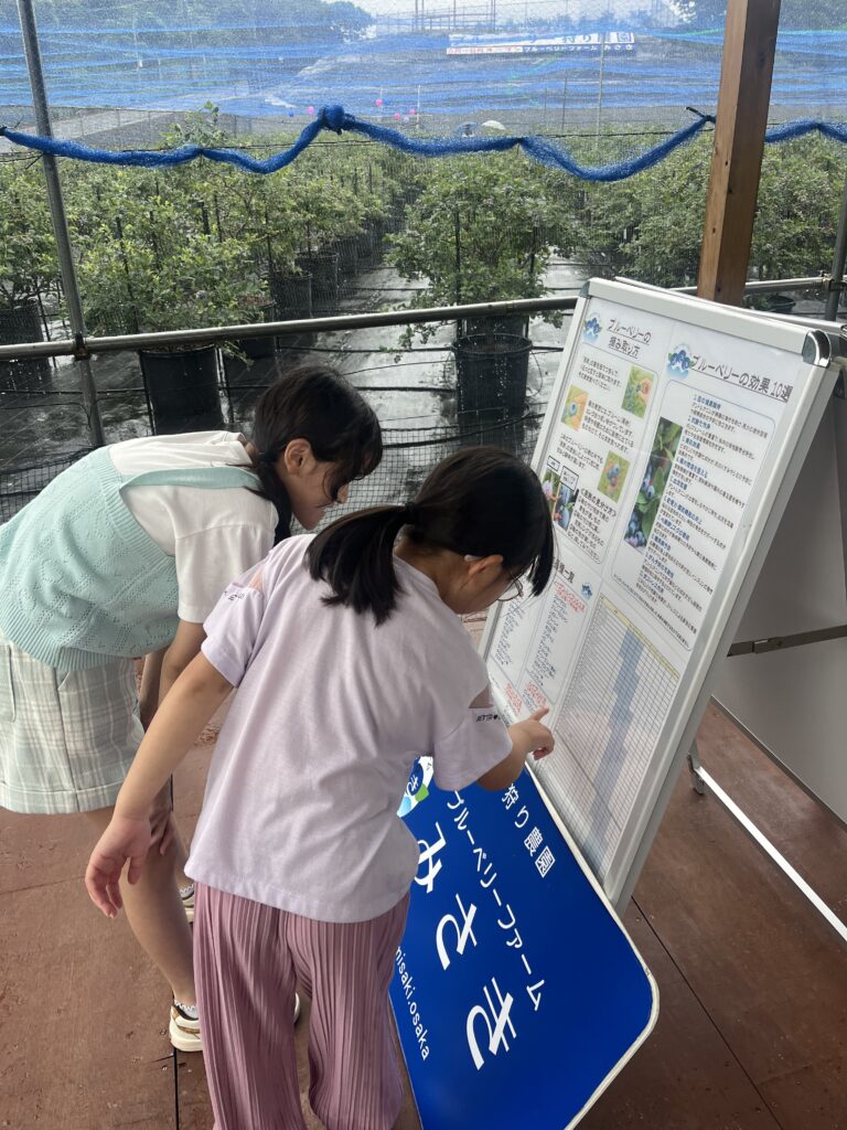 大阪府岬町・多品種のブルーベリーの説明パネル