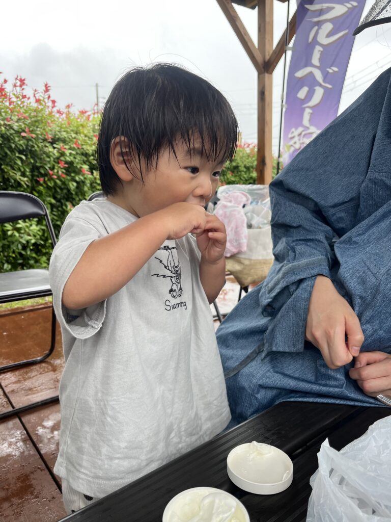ブルーベリーファームみさきのミルクジェラート