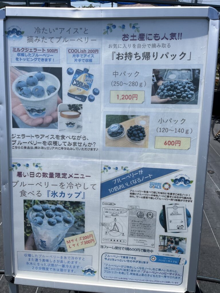 ブルーベリーファームみさきのジェラート、お持ち帰りパック、氷カップは人気・大阪・岬町
