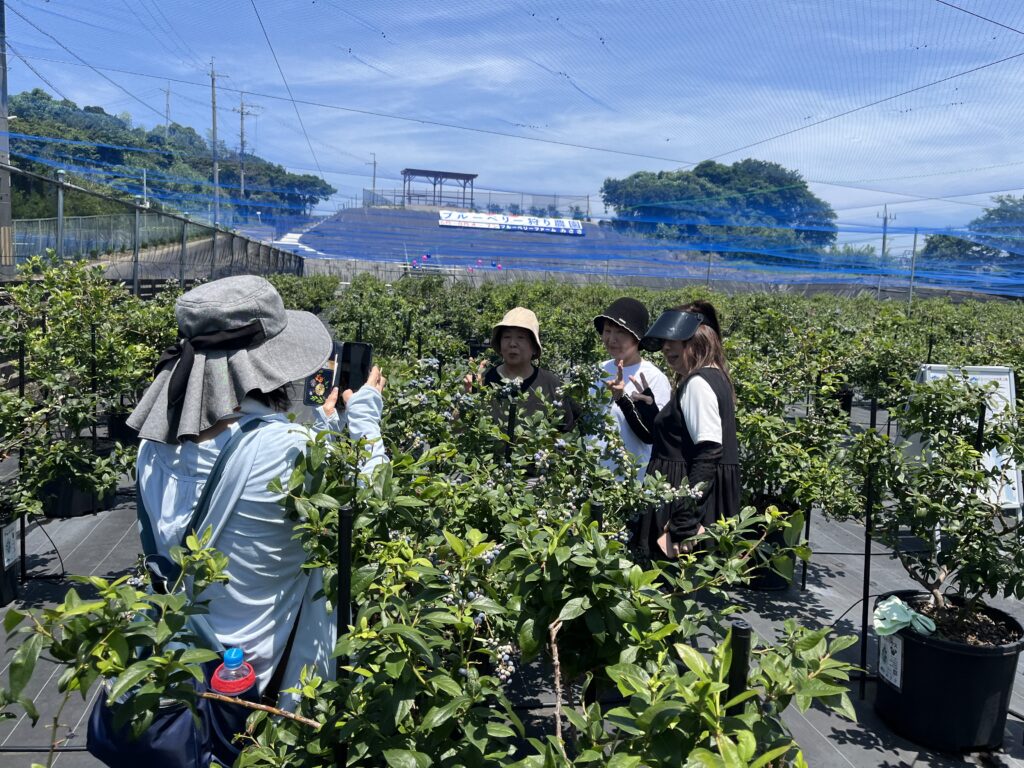 スローな時間・ブルーベリーファームみさき・大阪・岬町
