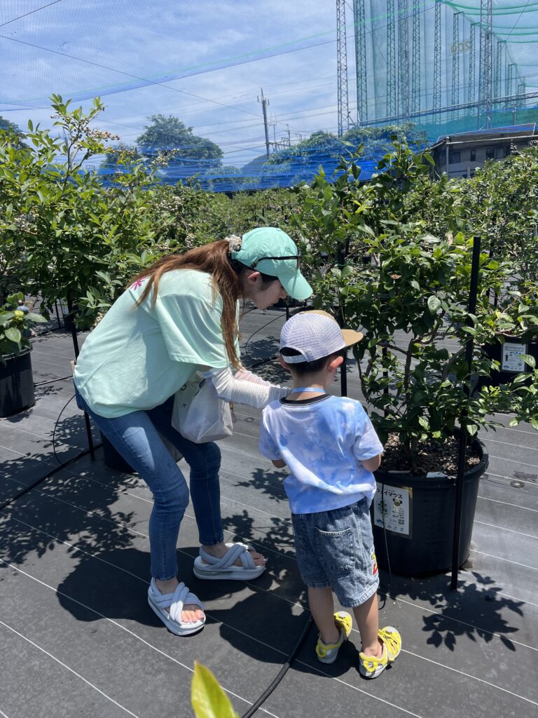 親子でブルーベリーファームみさき・大阪・岬町