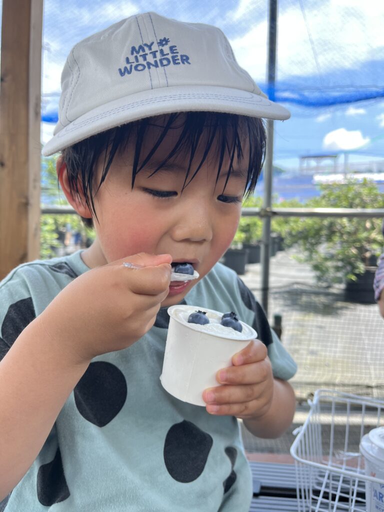 ミルクジェラートにブルーベリートッピング・大阪・岬町