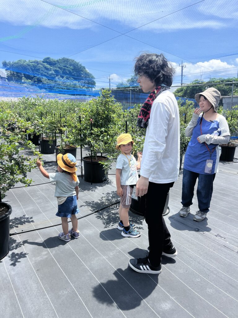 子供も喜ぶブルーベリー狩り・大阪・岬町