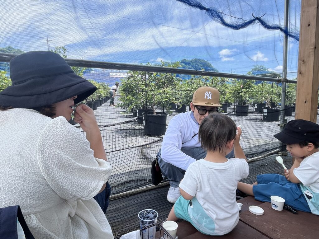 大阪・岬町・ミルクジェラートはブルーベリーファームみさきで人気商品