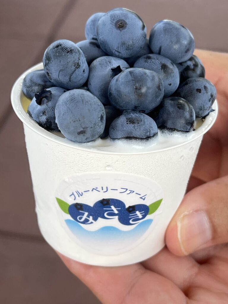 ミルクジェラートにブルーベリー大盛り・大阪・岬町