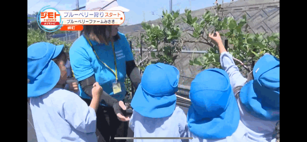 ジモトトピックス・テレビ放送・ブルーベリーファームみさき・大阪・泉州・岬町・ブルーベリー狩りスタート・園児の収穫体験