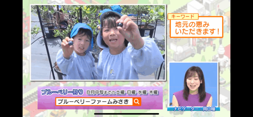 ジモトトピックス・テレビ放送・ブルーベリーファームみさき・大阪・泉州・岬町・ブルーベリー狩りスタート・園児の収穫体験