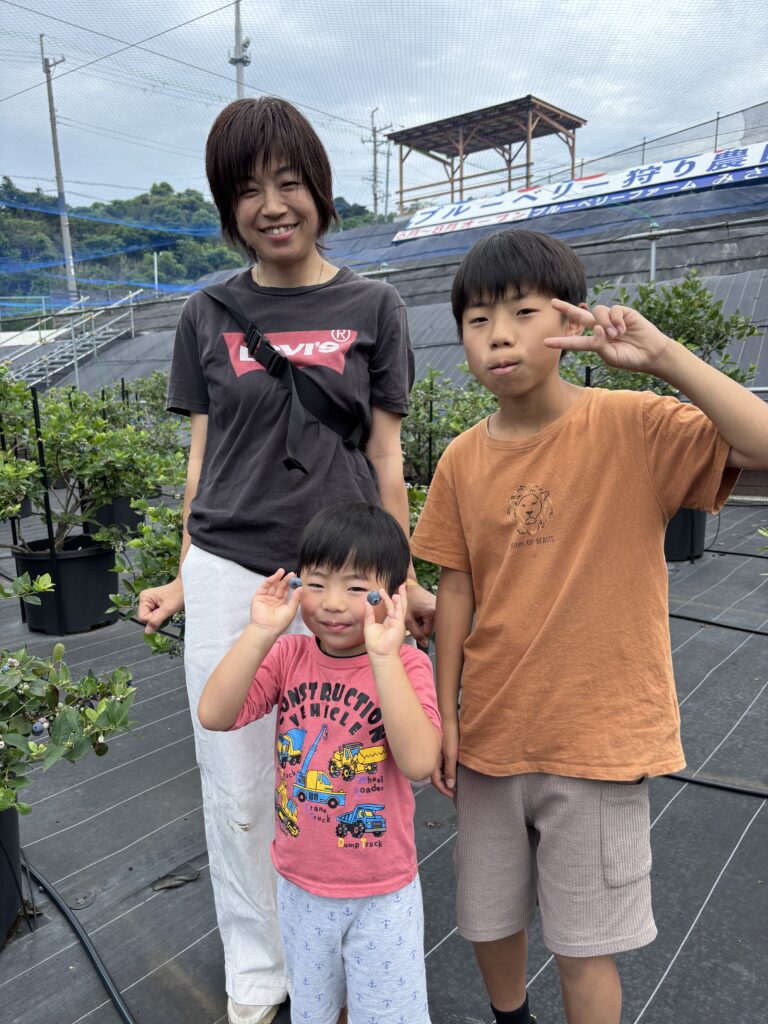 泉州のブルーベリー狩り農園