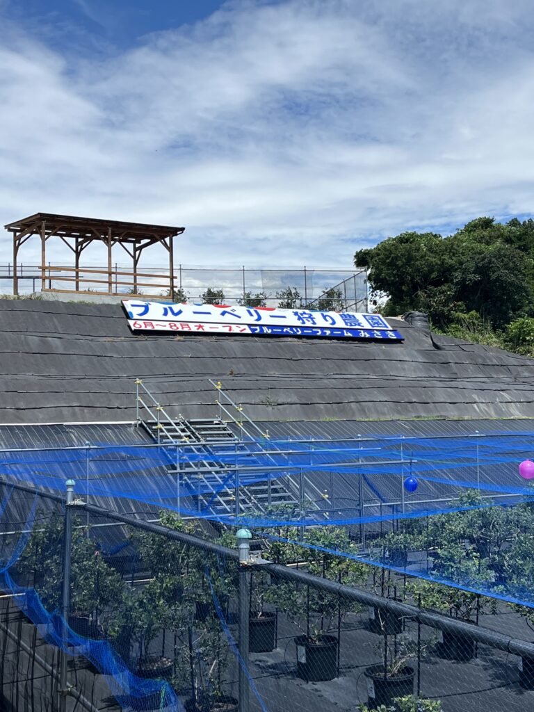 ブルーベリーファームみさき・大阪・岬町・看板