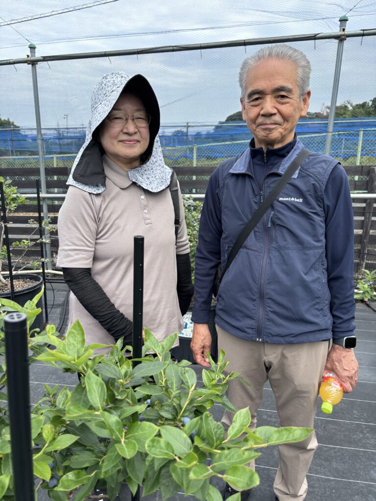 ブルーベリー狩りを楽しむ夫婦