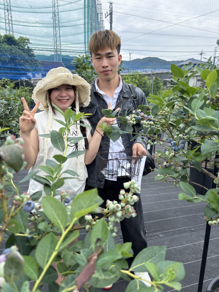 海外からブルーベリー狩りを体験