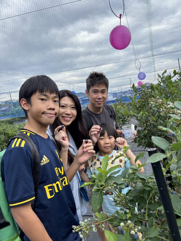 お気に入りのブルーベリー
