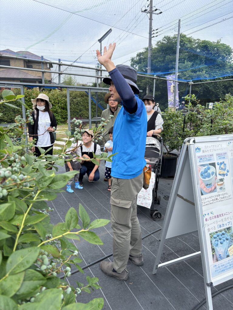 大阪・泉州・岬町・ブルーベリー狩り農園のパネル説明