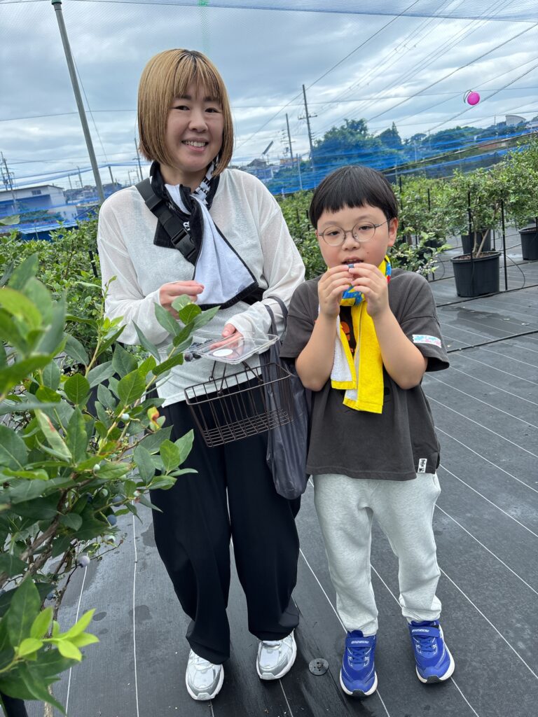 ブルーベリーファームみさきで親子でブルーベリー狩り
