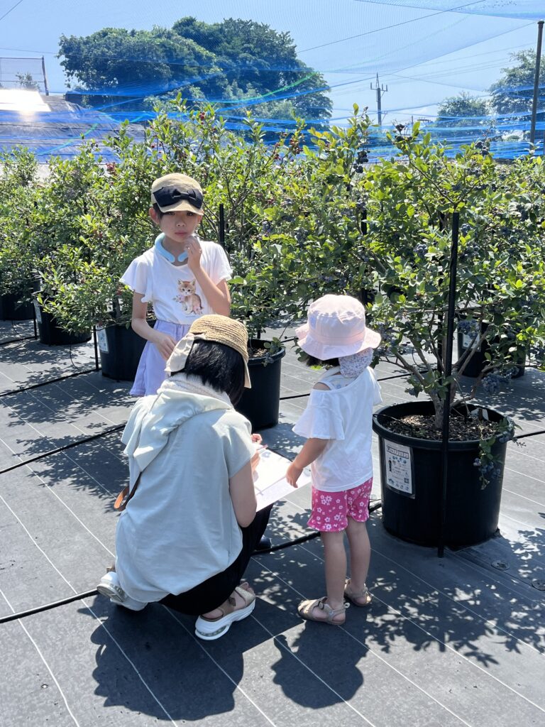 ブルーベリーファームみさき・大阪・岬町・ノートに観察メモ