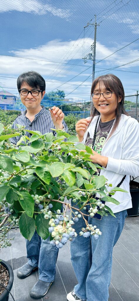 ブルーベリーファームみさきでブルーベリーの収穫体験・大阪・岬町
