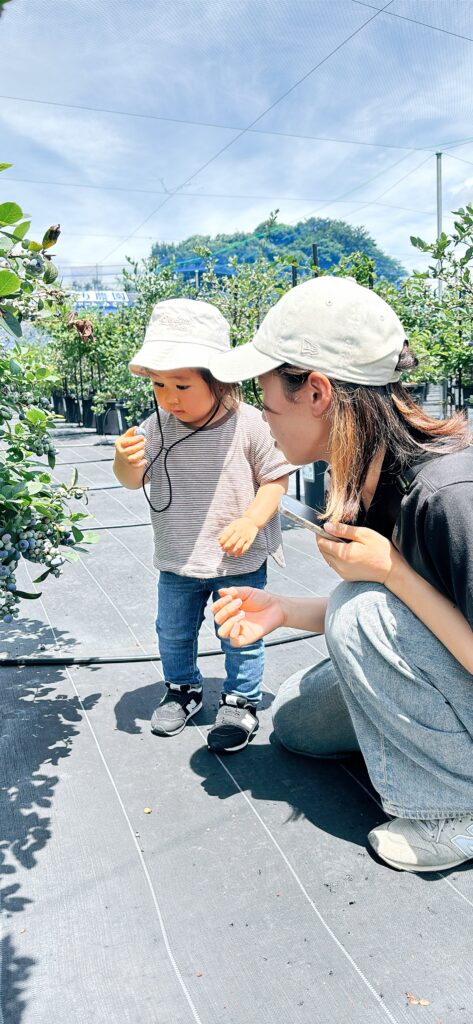 子供とブルーベリー狩り・ブルーベリー収穫体験・大阪・岬町
