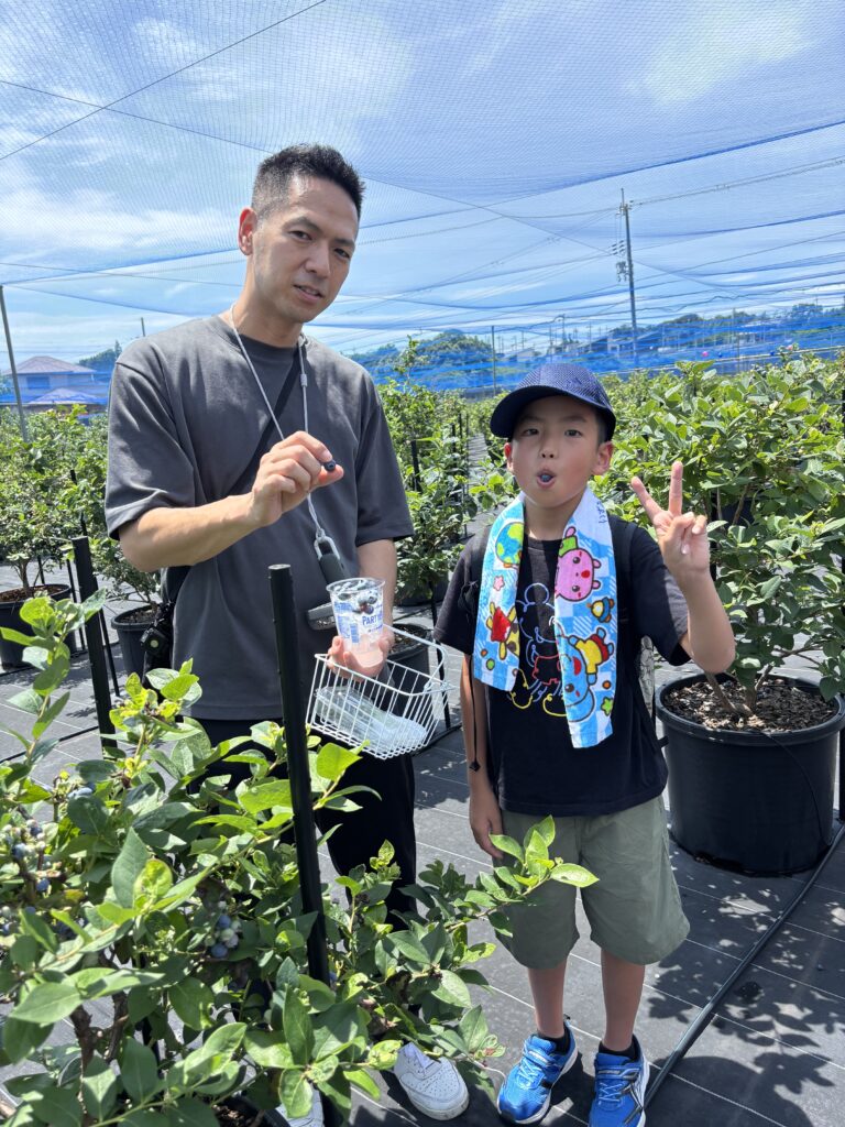 親子でブルーベリー収穫体験・大阪・岬町