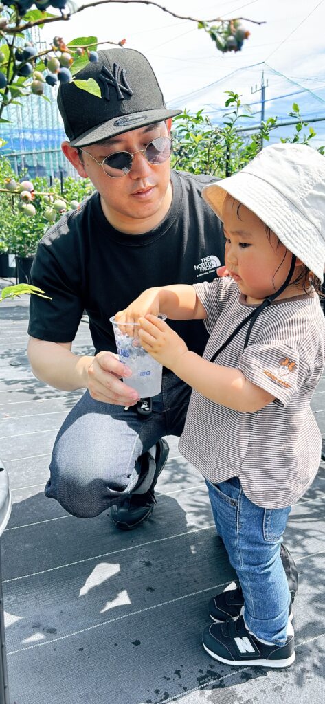 氷カップでブルーベリー美味しさアップ・ブルーベリーファームみさき・大阪・岬町
