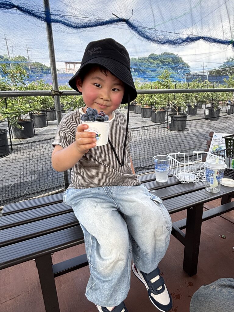 ブルーベリートッピングのミルクジェラート・大阪・岬町