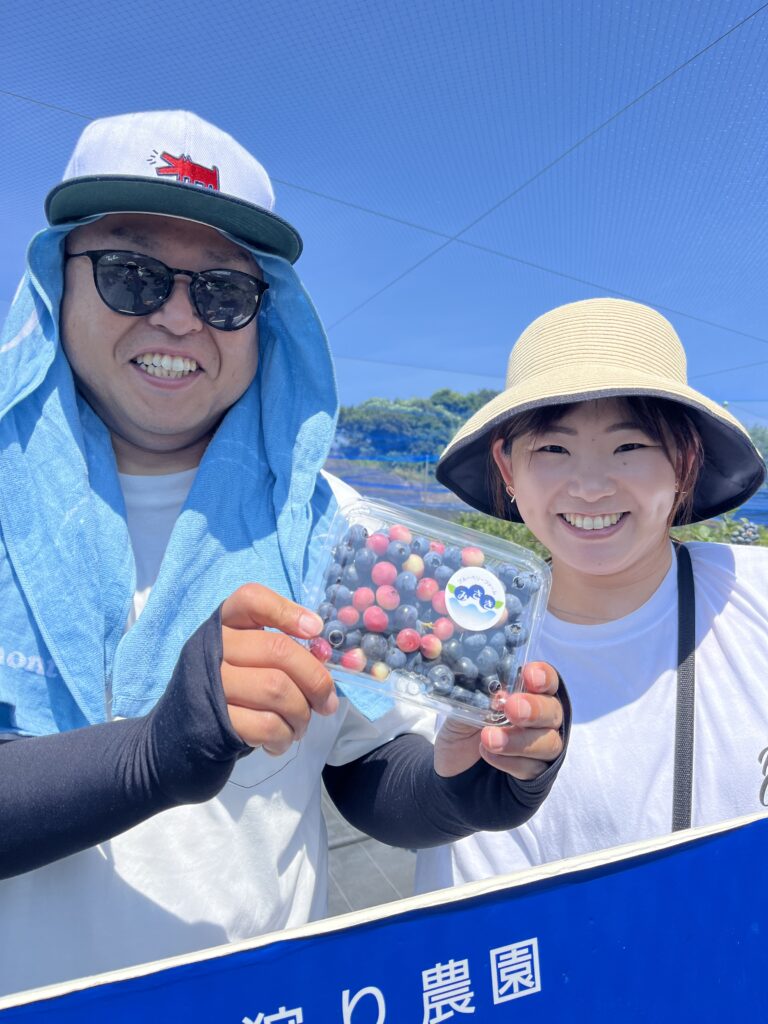 ブルーベリーファームみさき・大阪・岬町・ピンクレモネードを収穫
