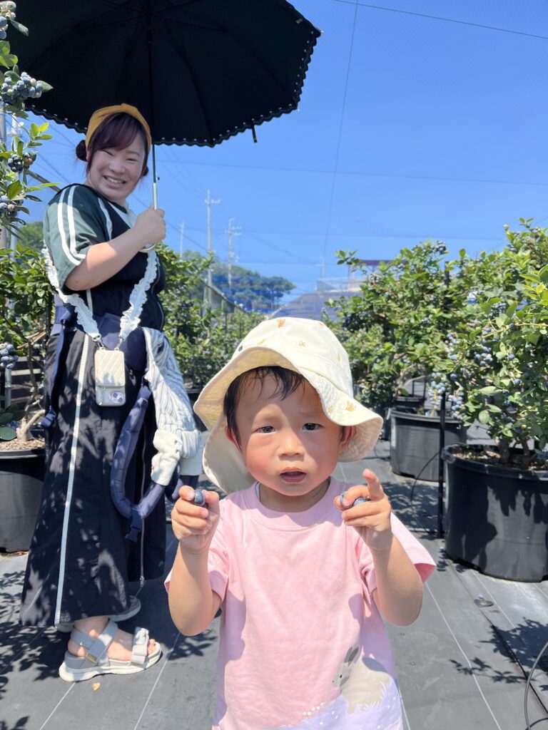 ブルーベリーファームみさき・大阪・岬町・ブルーベリーを見せてくれました