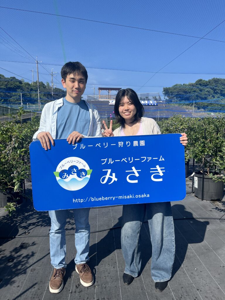 ブルーベリーファームみさき・大阪・岬町・デートにブルーベリー狩り