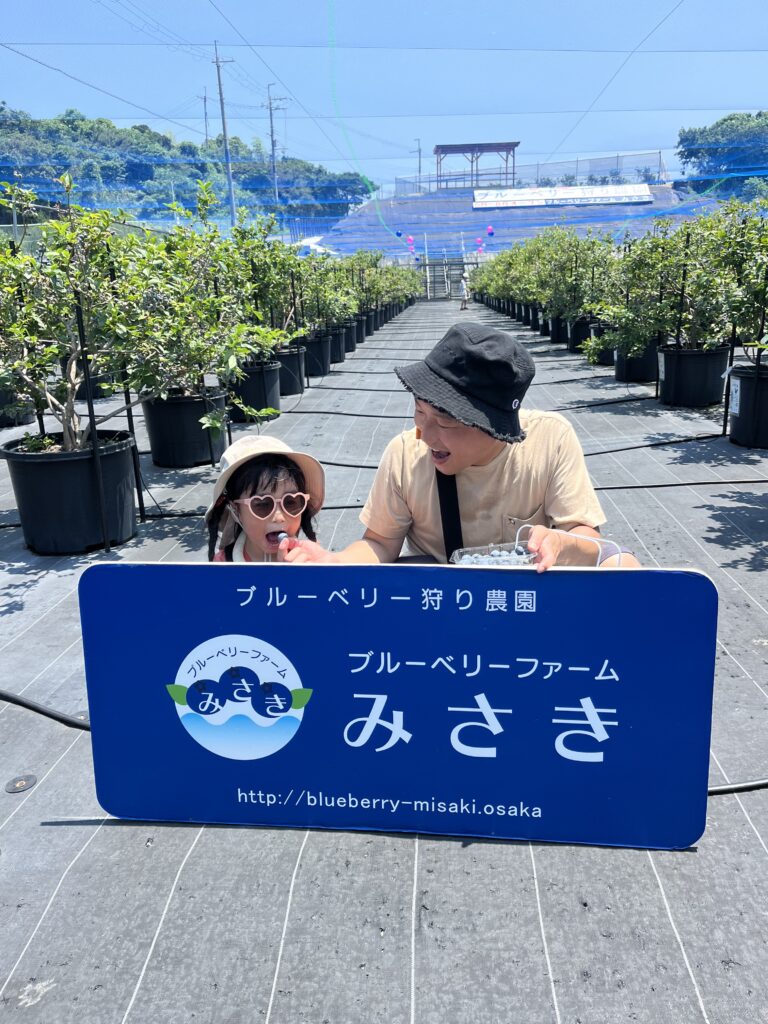 ブルーベリーファームみさき・大阪・岬町・パパとブルーベリー狩り