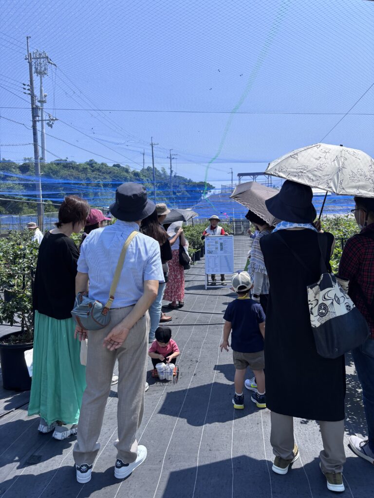 ブルーベリーファームみさき・大阪・岬町・パネルによる説明