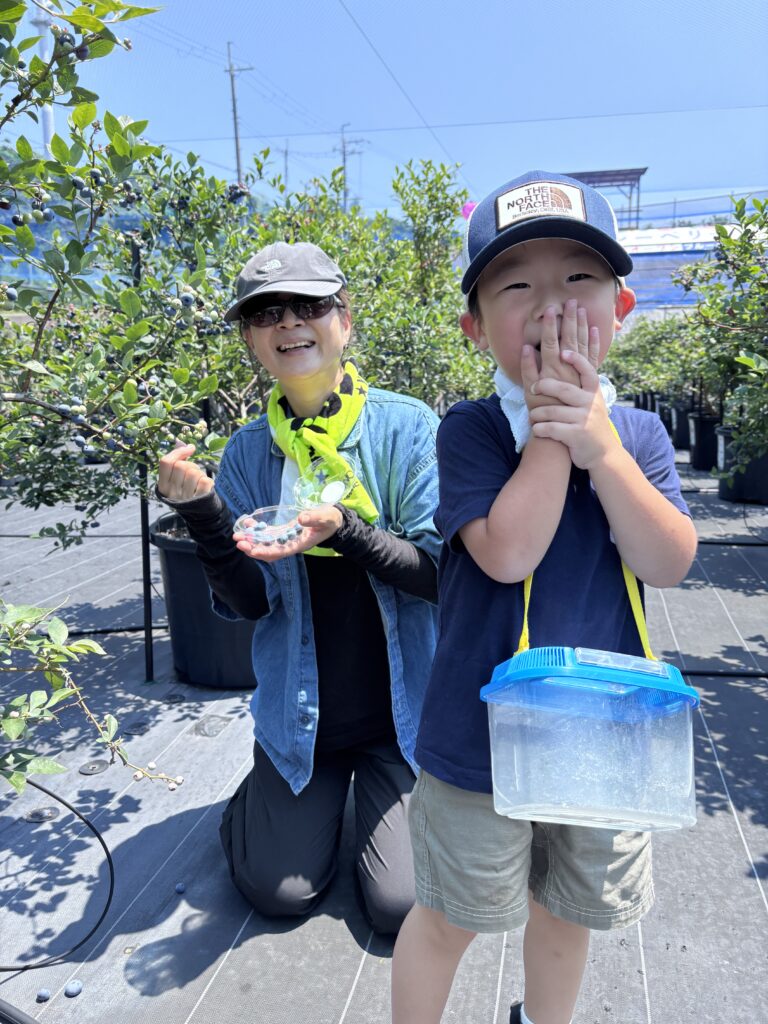 ブルーベリーファームみさき・大阪・岬町・ブルーベリー農園で虫取り