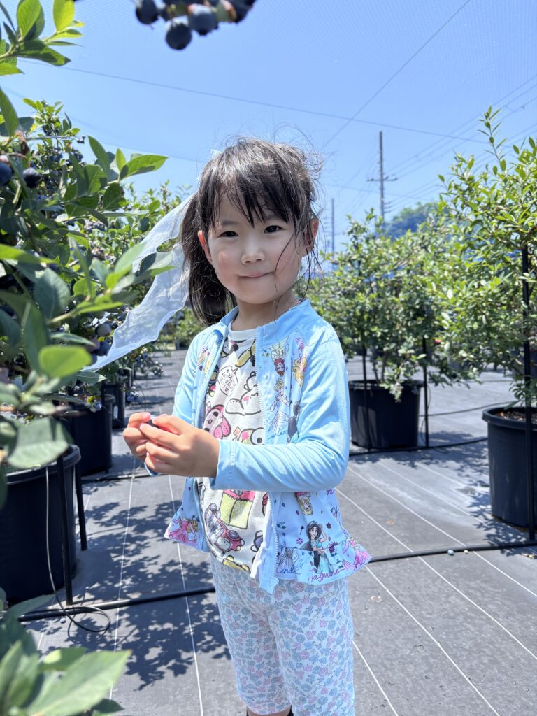 ブルーベリーファームみさき・大阪・岬町・かわいいマドンナ