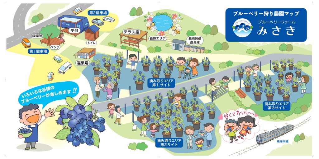 ブルーベリーファームみさき・農園マップ・大阪・泉州・岬町