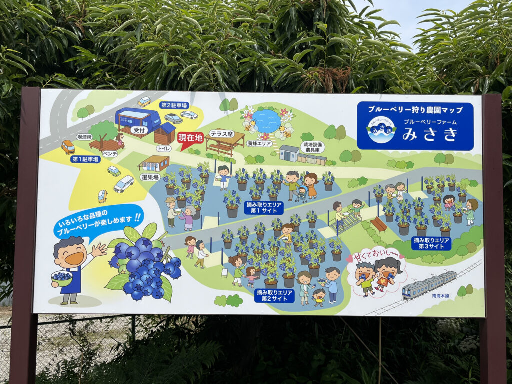 ブルーベリー狩り・ブルーベリーファームみさき・大阪・岬町・看板