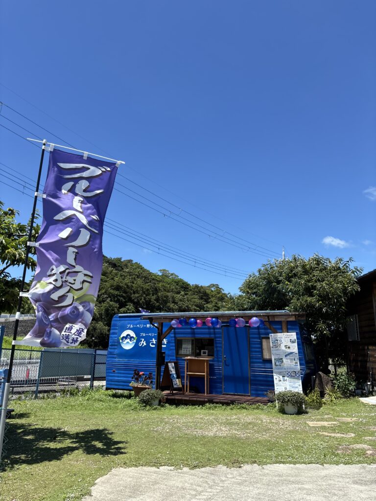 ブルーベリー狩り・ブルーベリーファームみさき・大阪・岬町・夏のブルーベリー農園