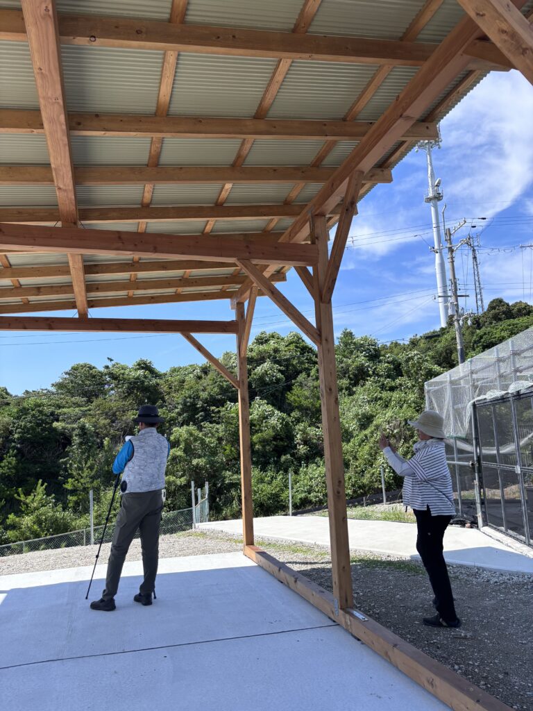 ブルーベリー狩り・ブルーベリーファームみさき・大阪・岬町・ブルーインパルス・撮影