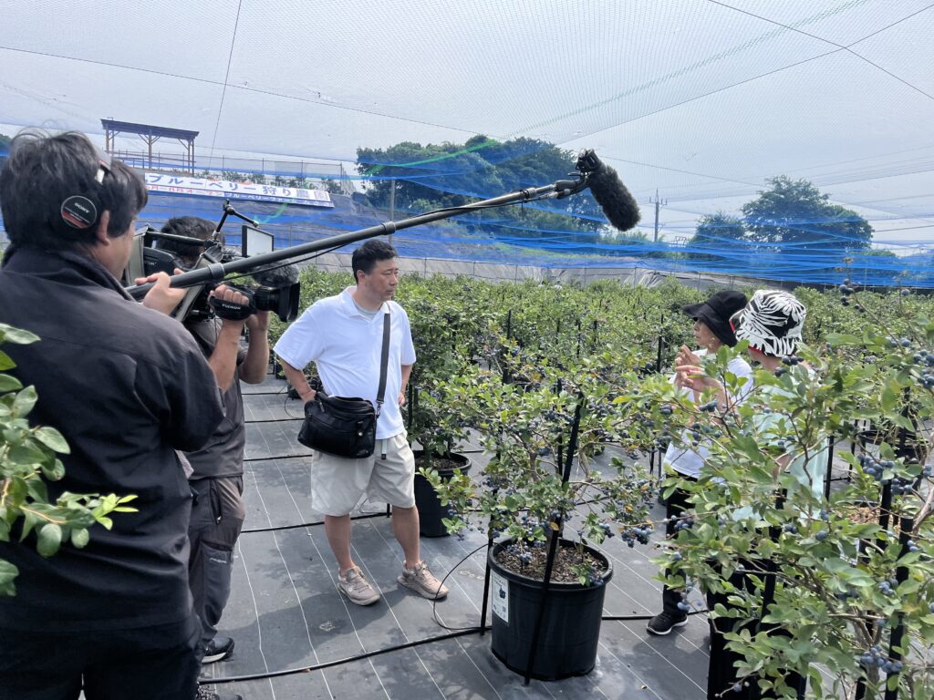 ブルーベリー狩り・ブルーベリーファームみさき・大阪・岬町・テレビ取材・大阪ほんわかテレビ・お客様インタビュー