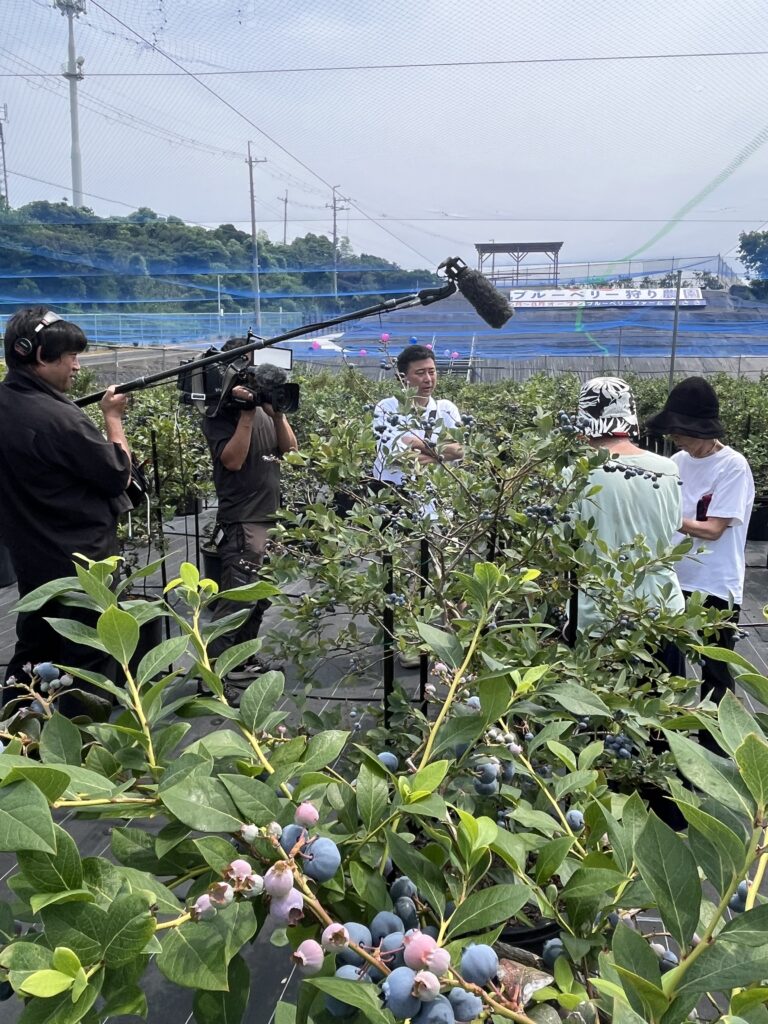 ブルーベリー狩り・ブルーベリーファームみさき・大阪・岬町・テレビ取材・大阪ほんわかテレビ・お客様インタビューとブルーベリー