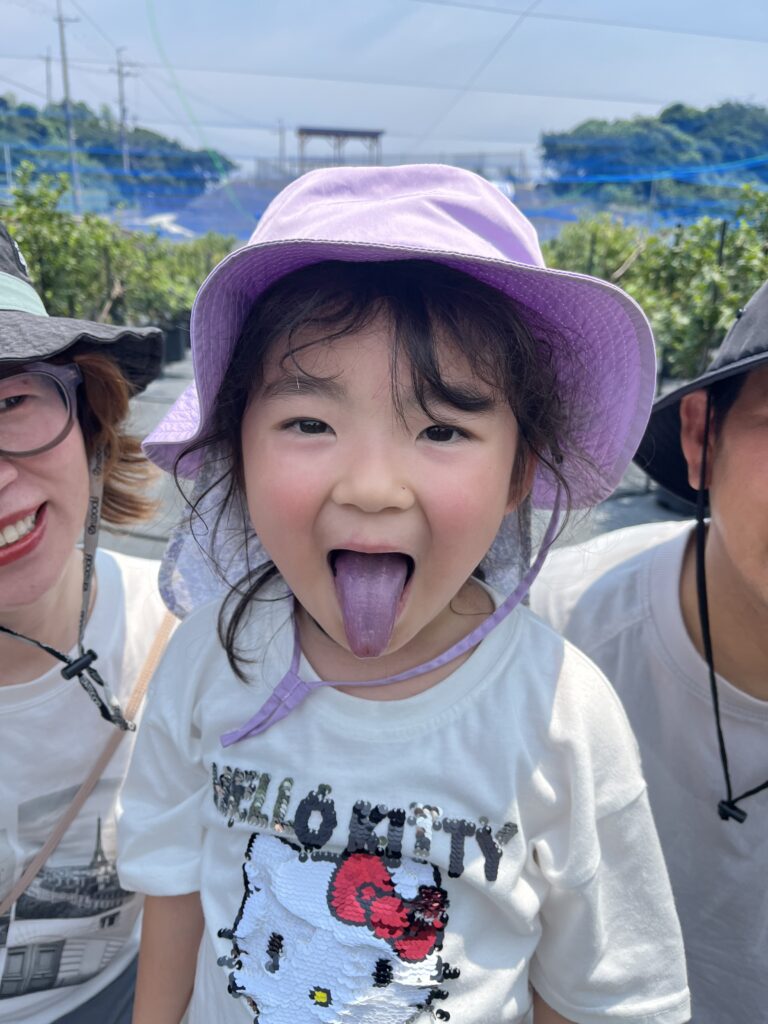ブルーベリー狩り・ブルーベリーファームみさき・大阪・岬町・ブルーベリー色