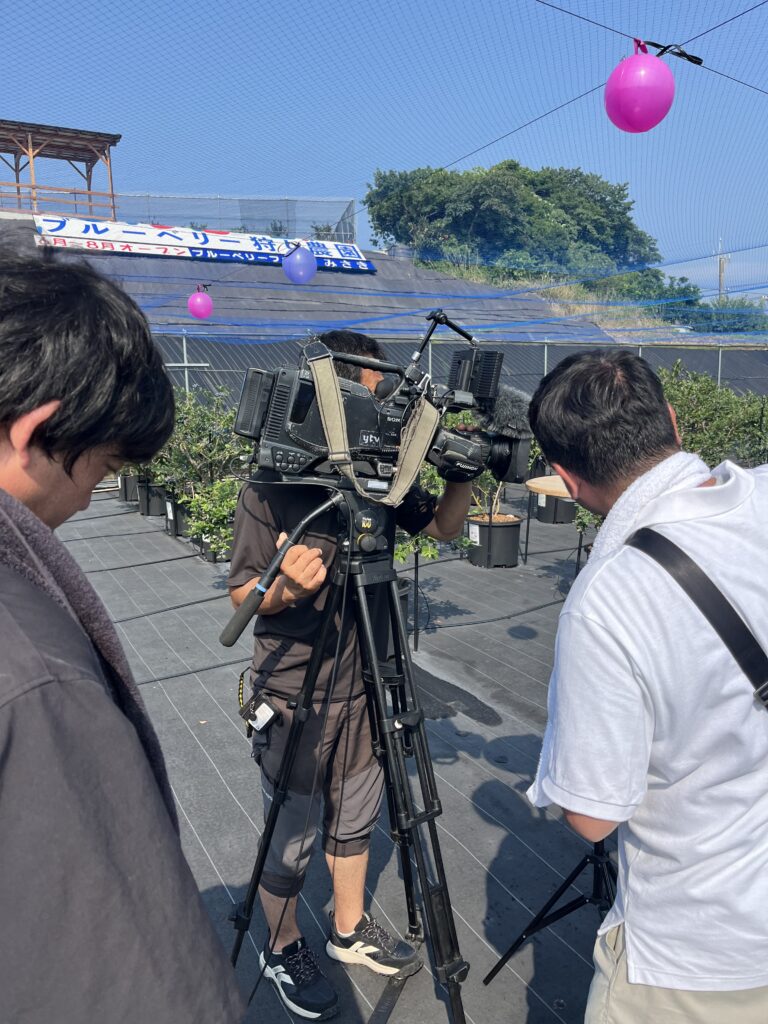 ブルーベリー狩り・ブルーベリーファームみさき・大阪・岬町・テレビ取材・大阪ほんわかテレビ・７月初旬