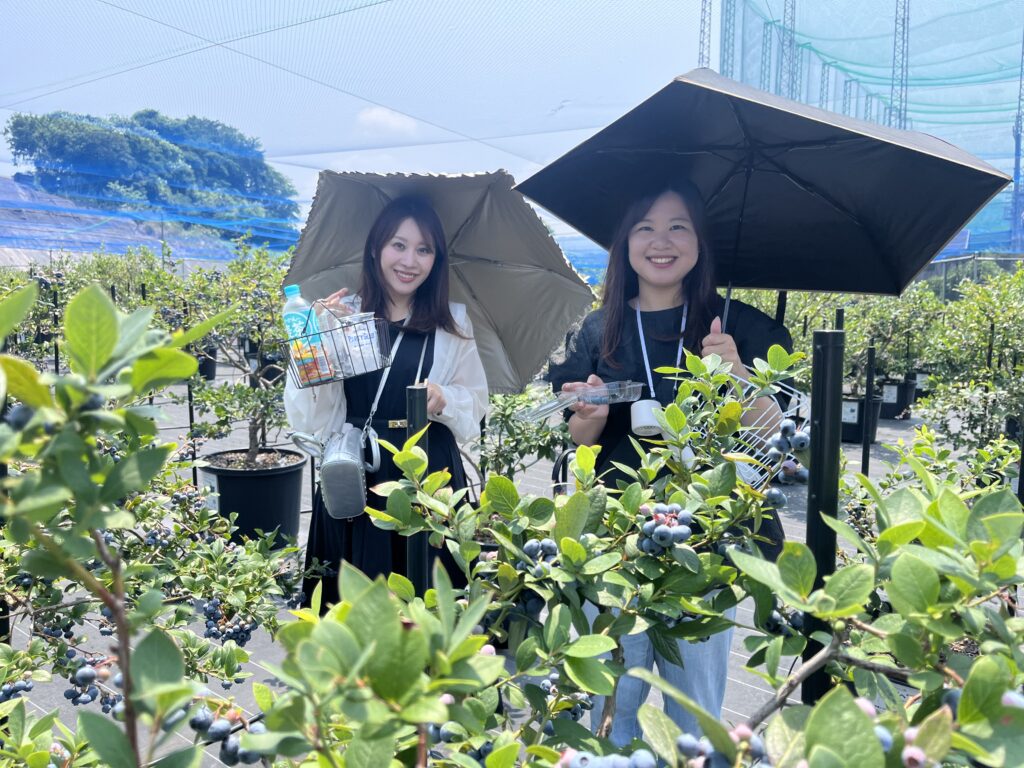 ブルーベリー狩り・ブルーベリーファームみさき・大阪・岬町・今シーズンも来てくれました