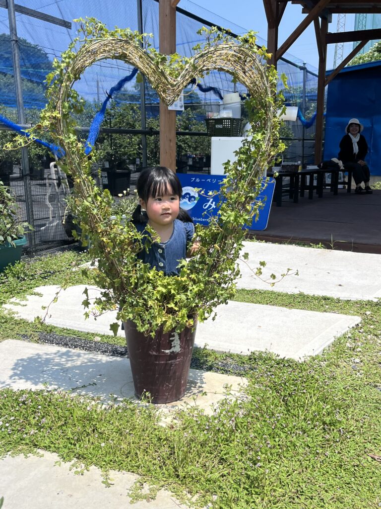 ブルーベリー狩り・ブルーベリーファームみさき・大阪・岬町・ハート