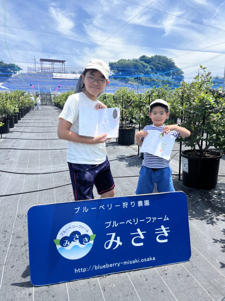 ブルーベリー狩り・ブルーベリーファームみさき・大阪・岬町・ブルーベリー観察ノート